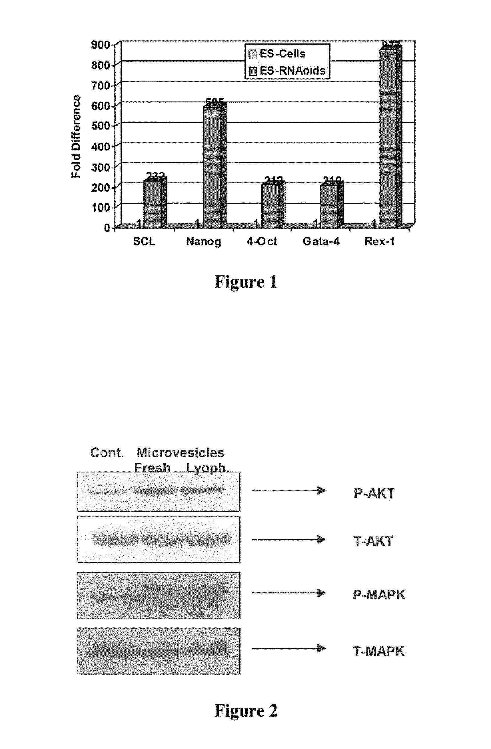 RNA-Containing Microvesicles and Methods Thereof