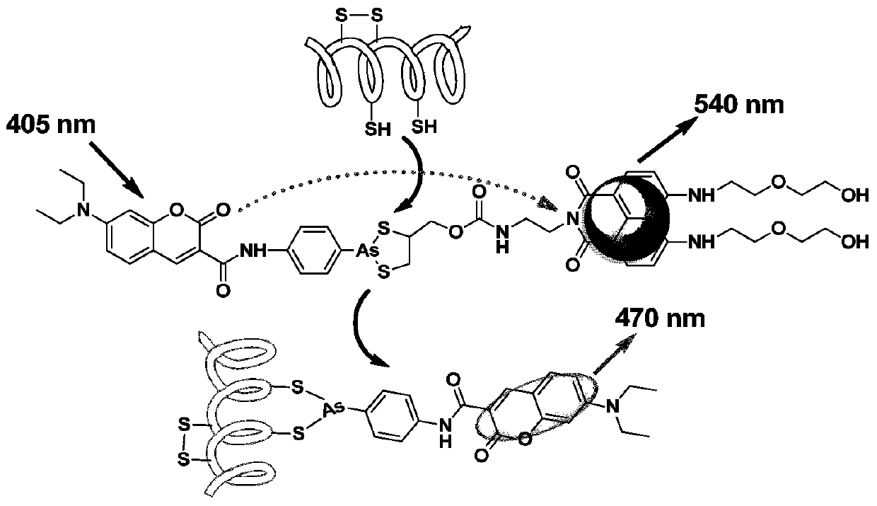 A kind of high selectivity ratio type fluorescent probe and its application