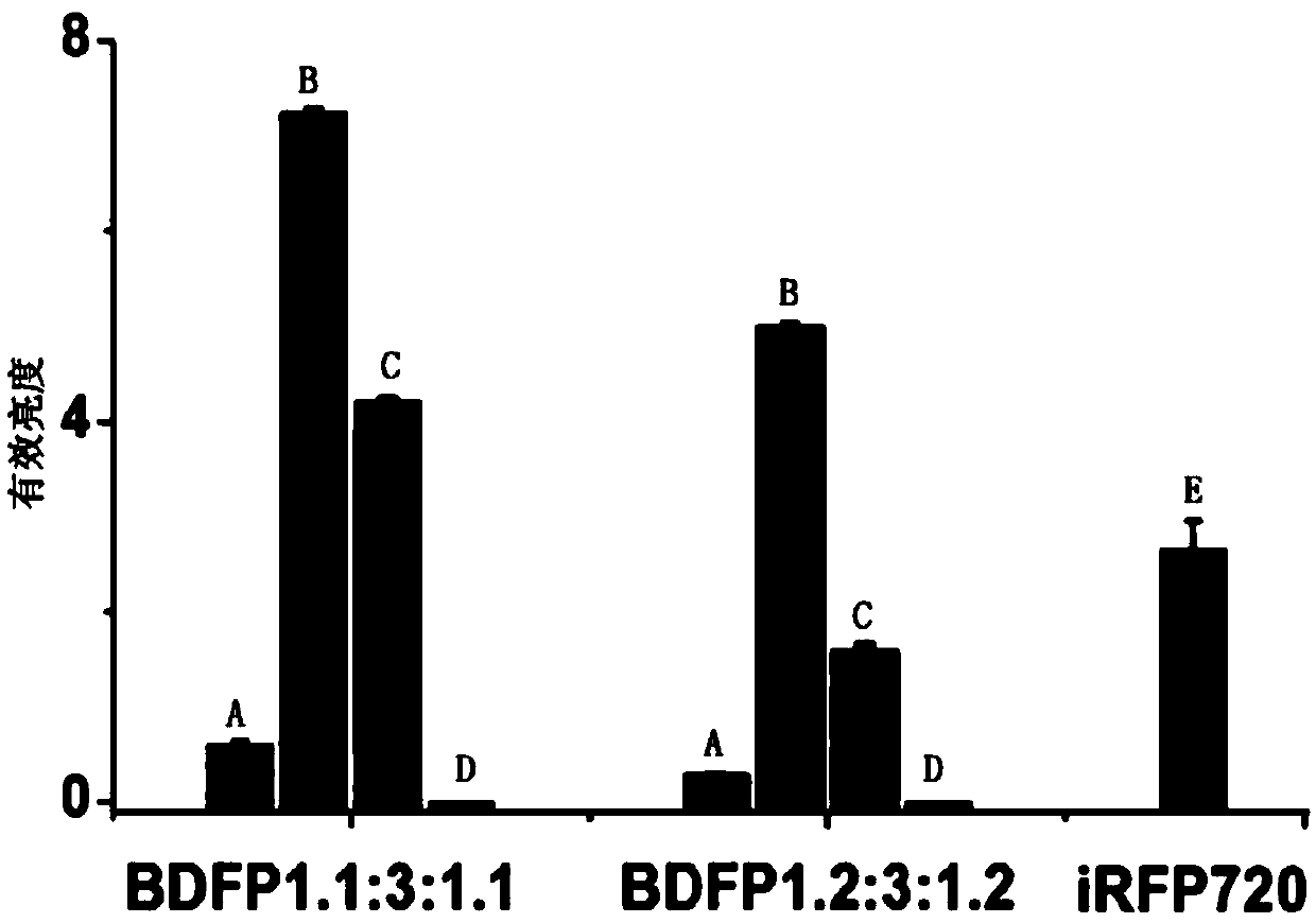 Fusion protein containing ApcE2 mutant and application of fusion protein containing ApcE2 mutant