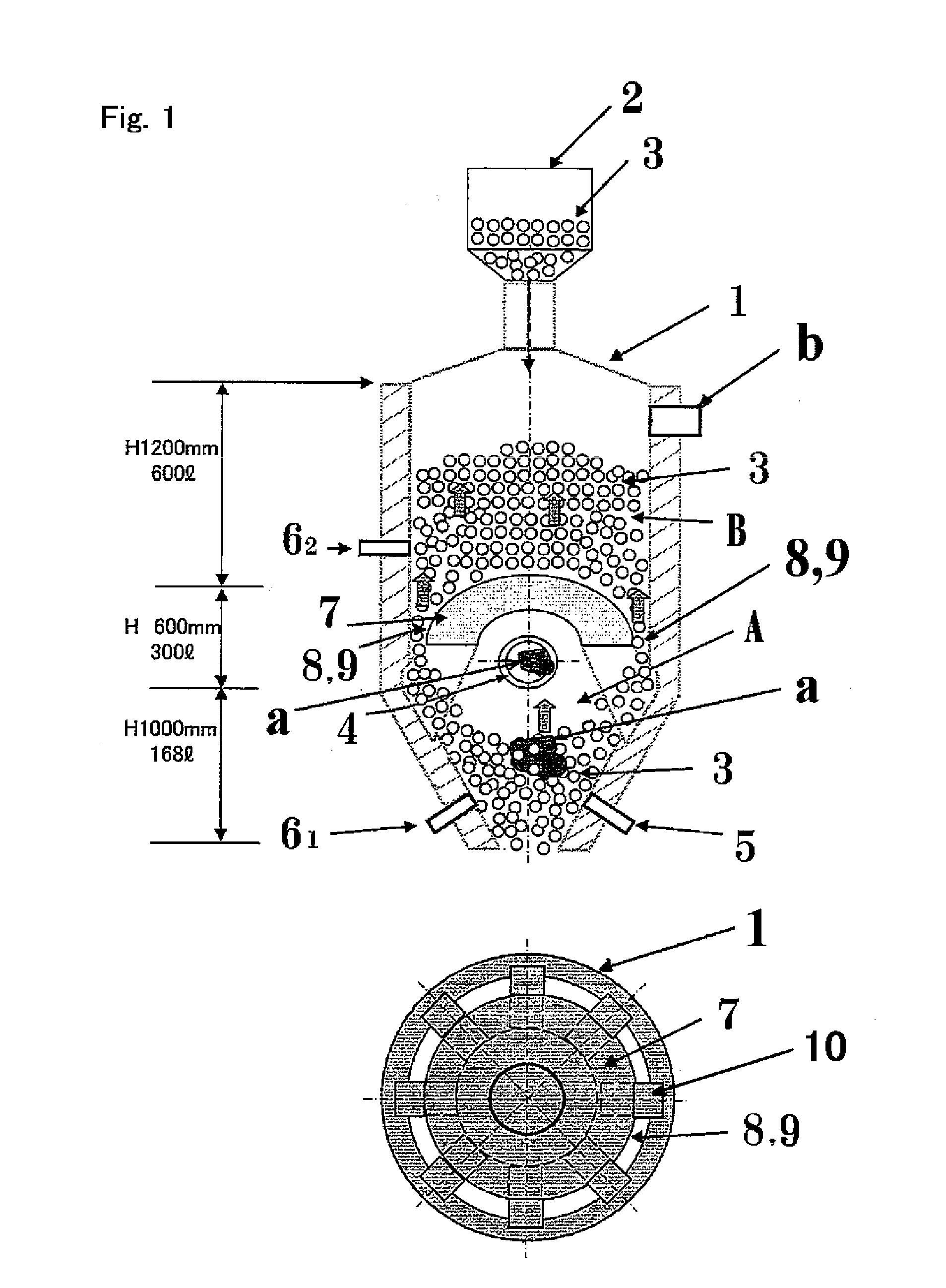 Biomass gasifier device