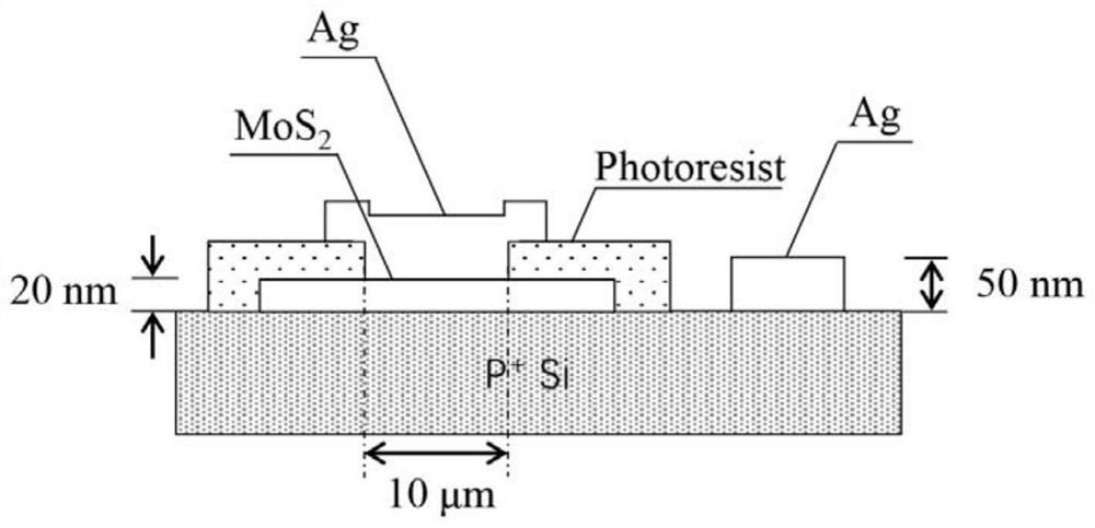 A kind of silicon-based molybdenum disulfide heterojunction photoelectric sensor and preparation method thereof