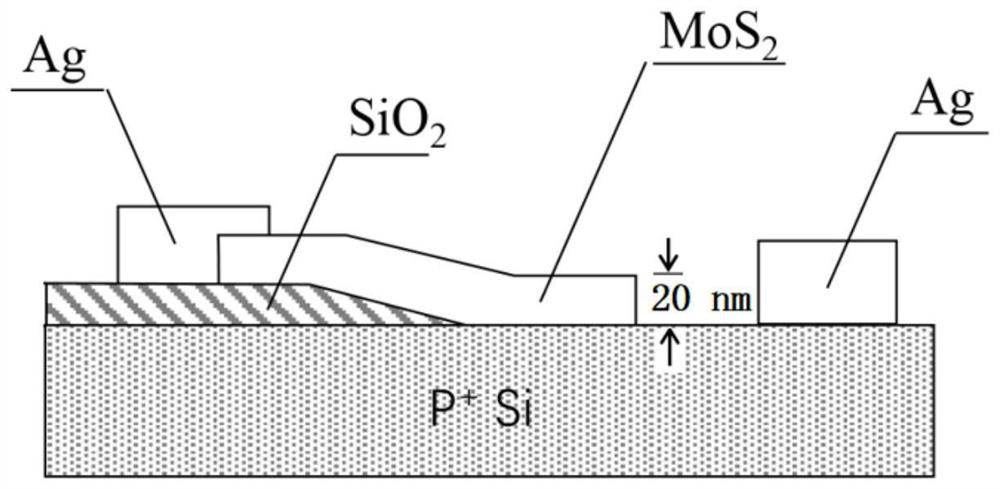 A kind of silicon-based molybdenum disulfide heterojunction photoelectric sensor and preparation method thereof