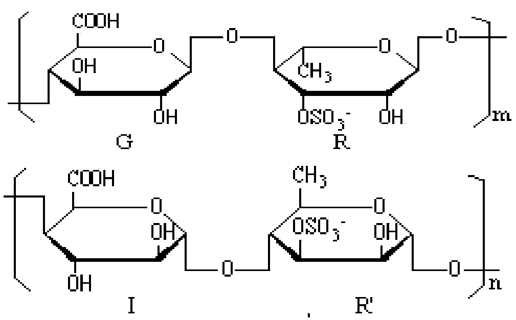 Preparation method of algal polysaccharide derivatives