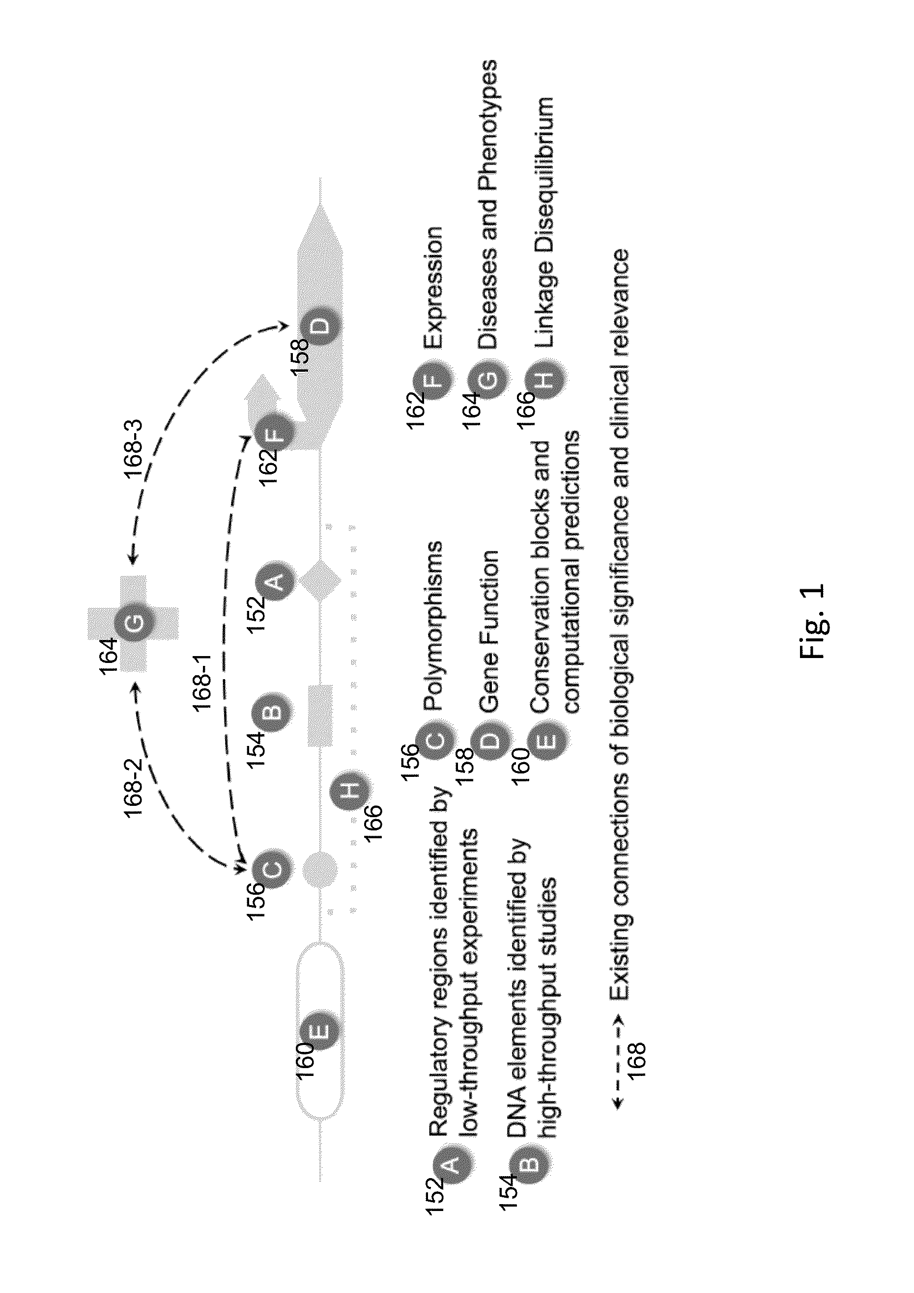 Method and System for the Use of Biomarkers for Regulatory Dysfunction in Disease