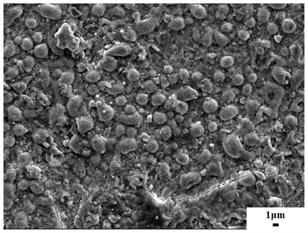 Super-hydrophobic matrix material of monoclinic-phase celsian glass ceramic and preparation method thereof