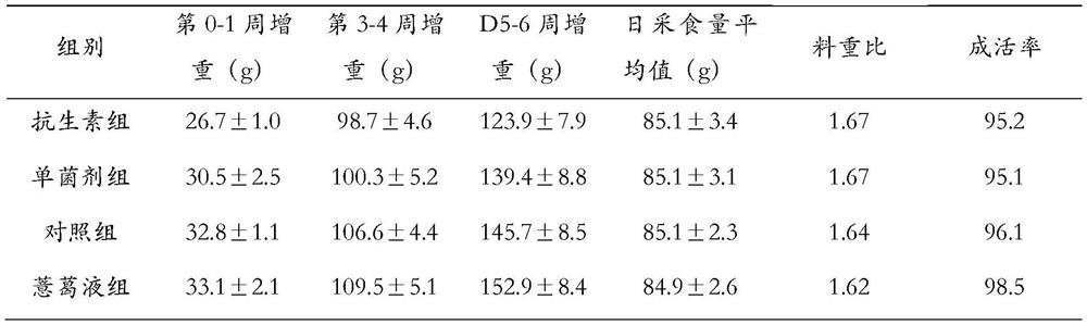 Probiotic composition for preventing and treating poultry diarrhea and application thereof