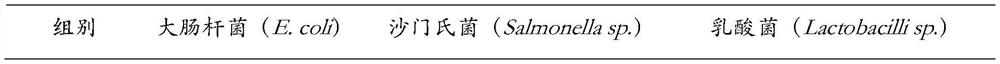 Probiotic composition for preventing and treating poultry diarrhea and application thereof