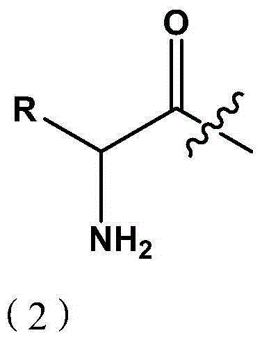 A kind of amino acid tanshinol ester derivative and its preparation method