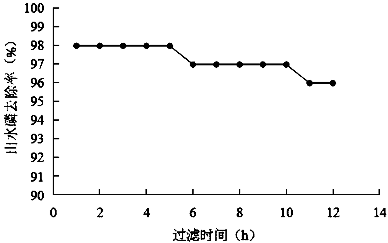 Phosphorous removal and bacterium control type PP cotton filter element and preparation method thereof