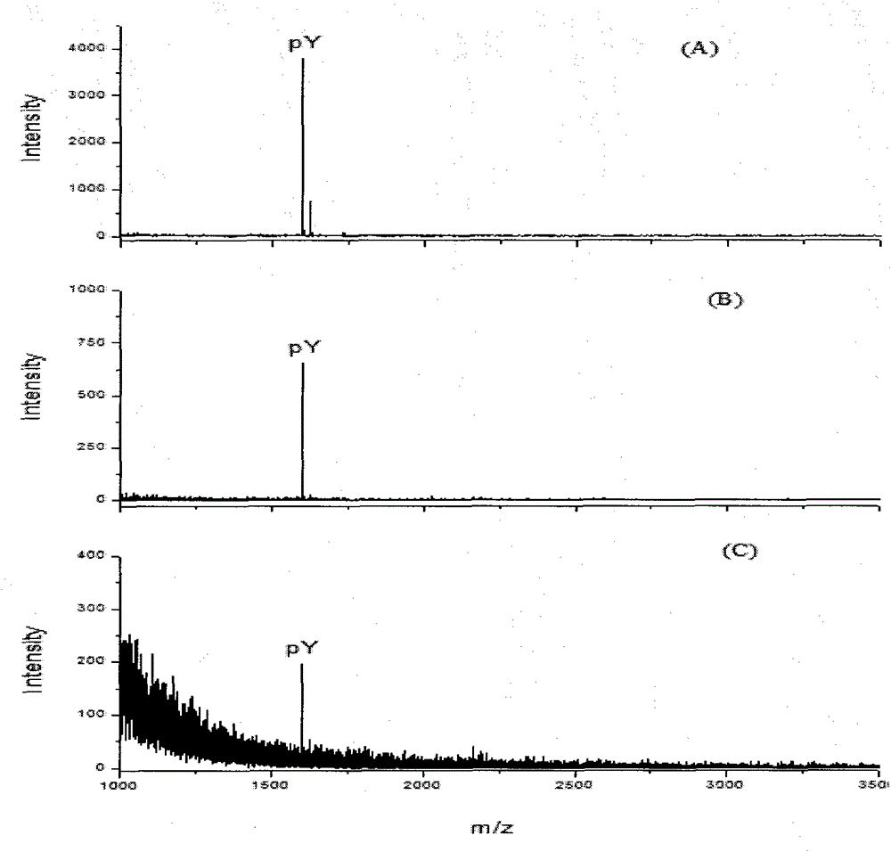 Method for purifying tyrosine phosphopeptide