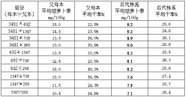 Breeding method for convergent improvement of carotene and dry rate characters of sweet potato