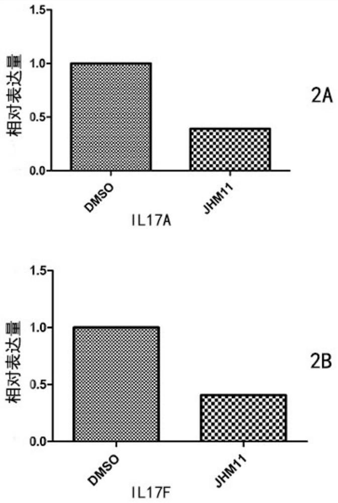 Application of Derivatives of 4n Heterocyclic Compounds in the Preparation of Medicines for Treating Autoimmune Diseases