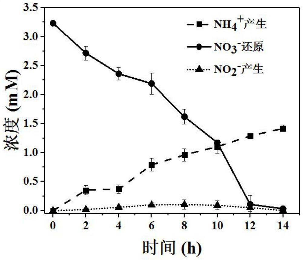 A method for recovering nitrate nitrogen in wastewater by microbial electrochemical ammonification
