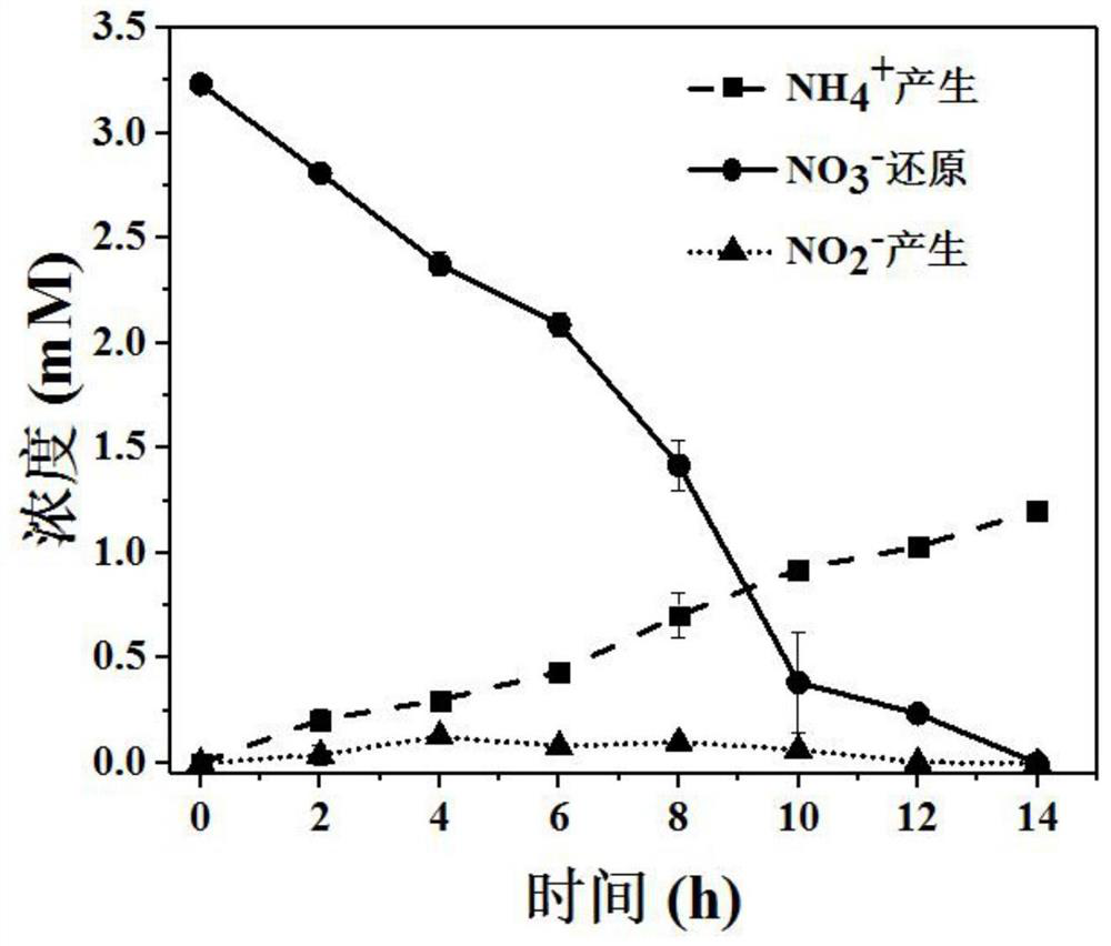 A method for recovering nitrate nitrogen in wastewater by microbial electrochemical ammonification