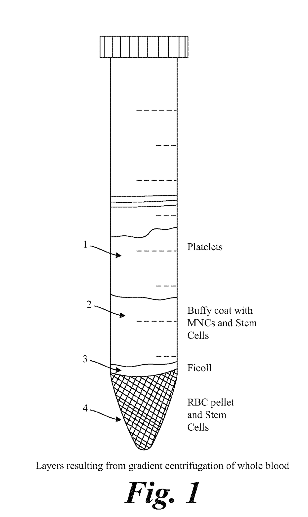 Compositions and methods to inhibit stem cell and progenitor cell binding to lymphoid tissue and for regenerating germinal centers in lymphatic tissues