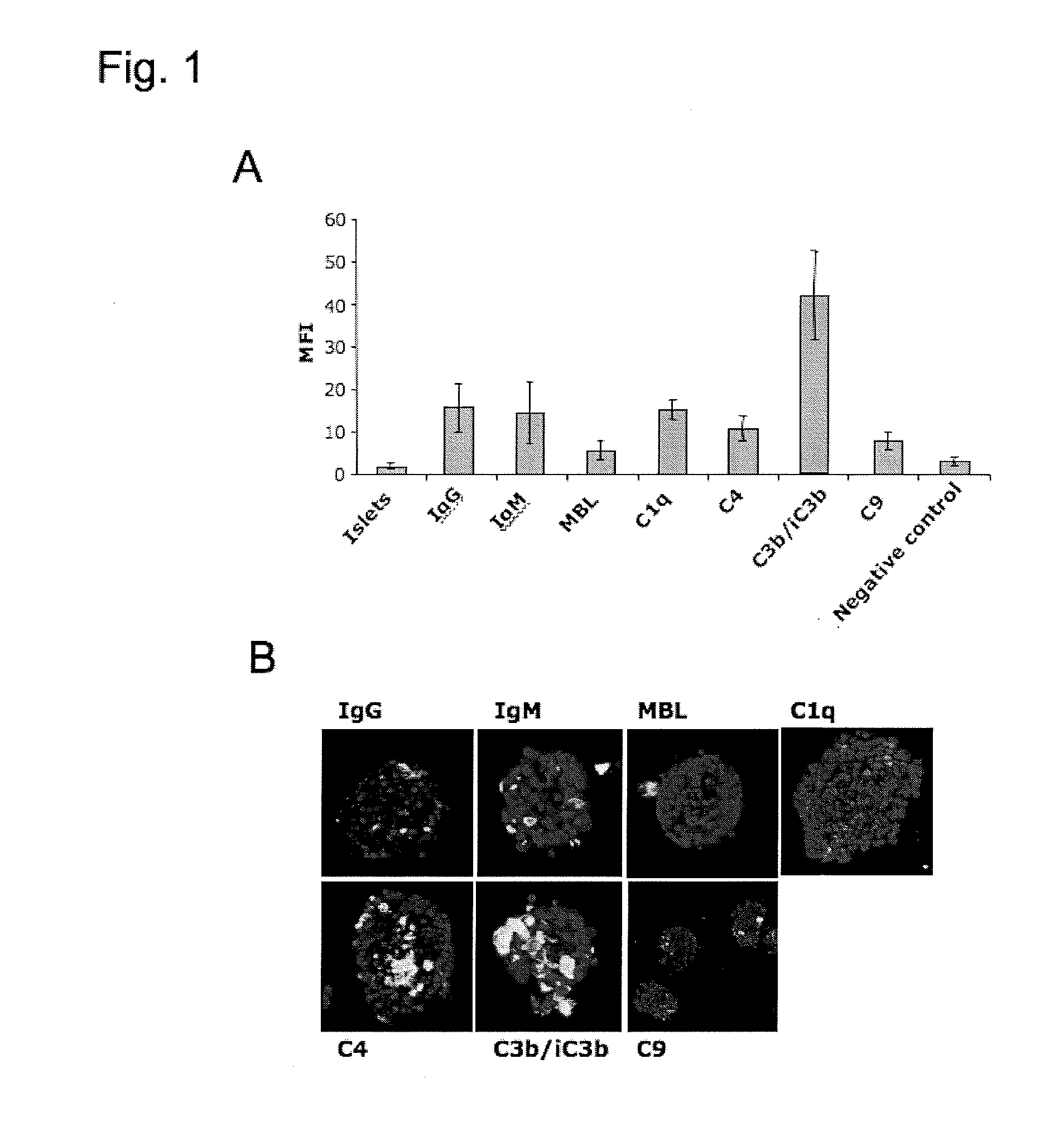 Method Of Reducing Tissue Loss In Pancreatic Islet Cell Transplantation