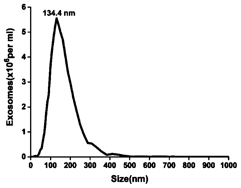 Method of detecting extracellular vesicle surface PD-L1 protein by aptamer of programmed death receptor-ligand 1 (PD-L1)