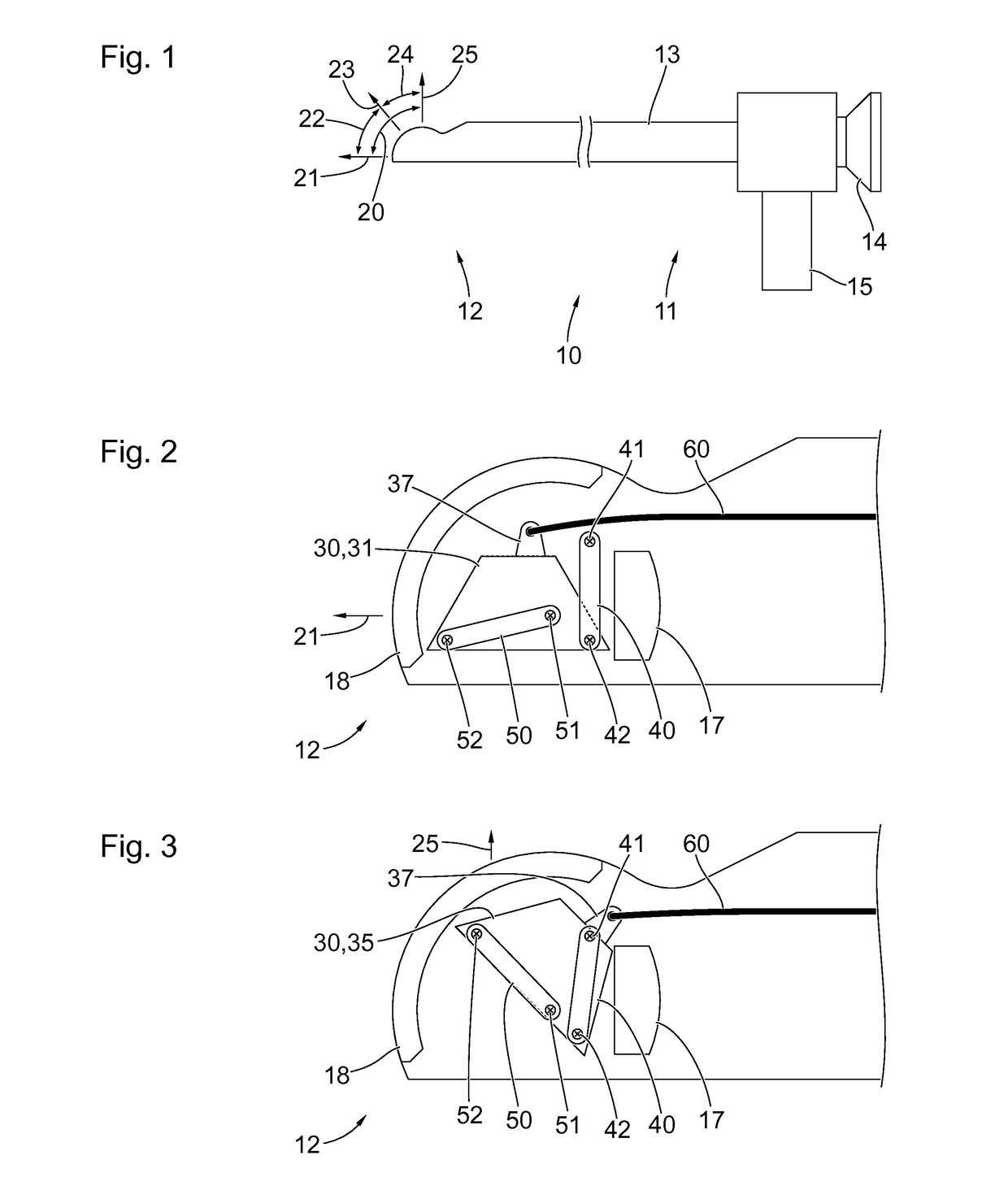 Endoscope with adjustable viewing angle