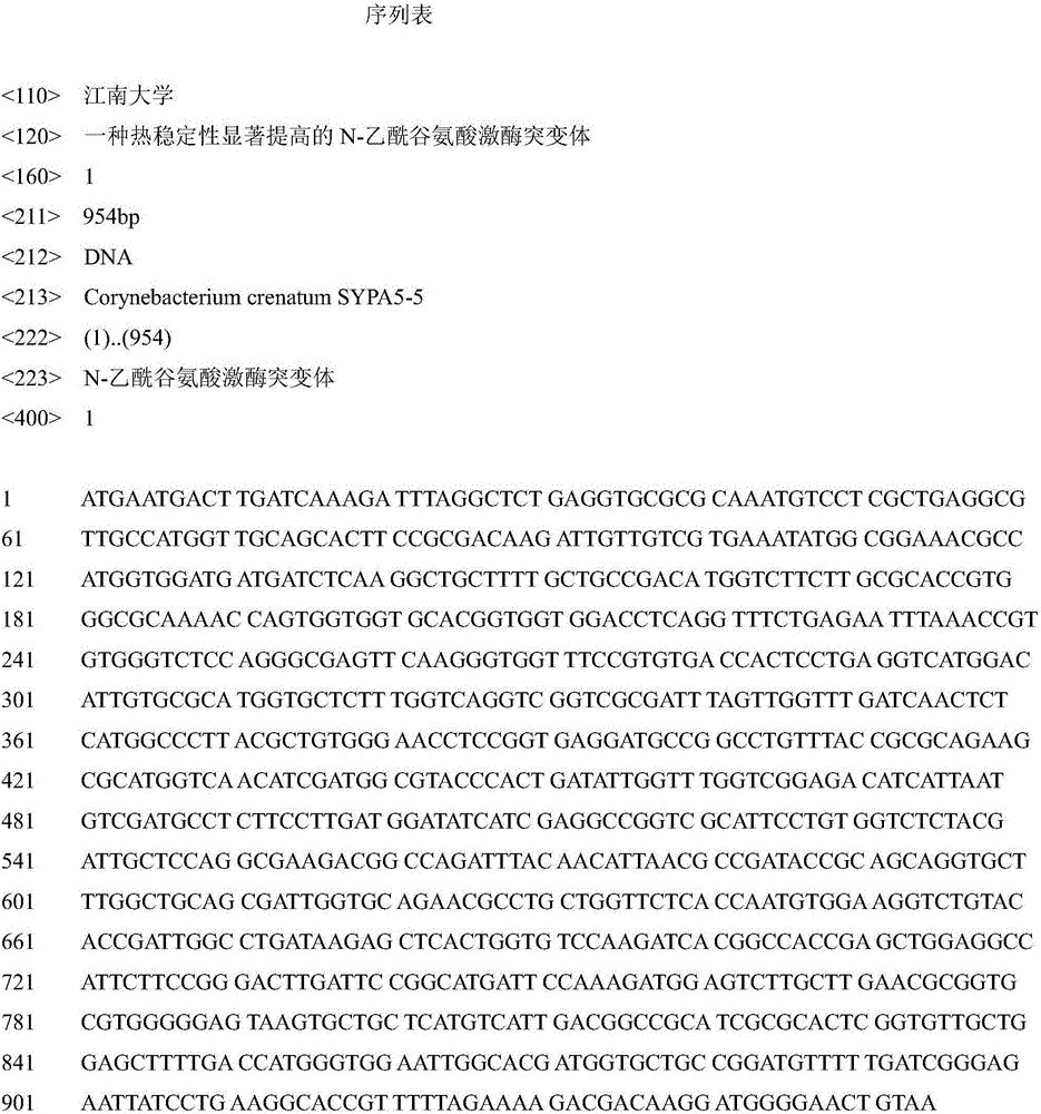 N-acetylgutamate kinase mutant with heat stability improved remarkably