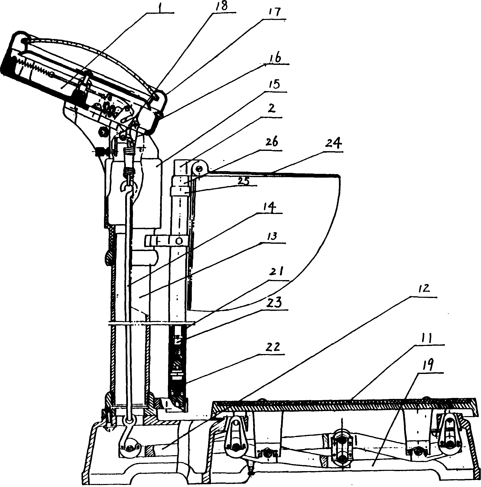 Body weight and body height measuring apparatus