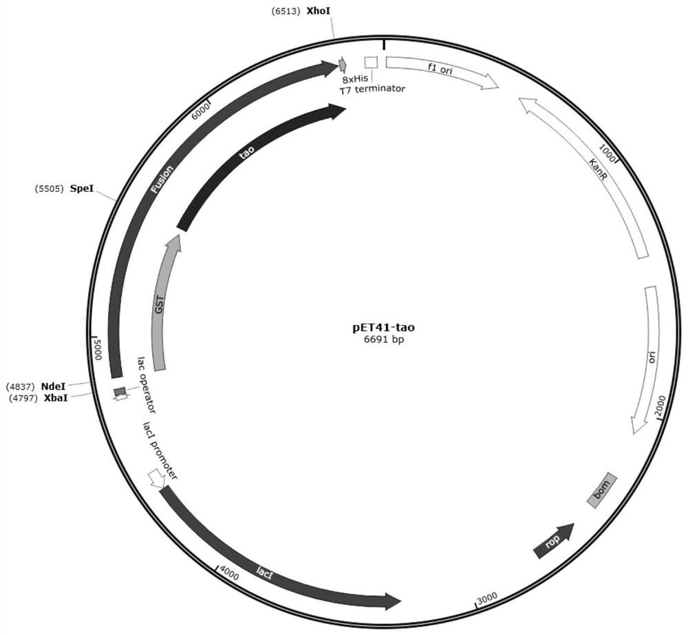 A kind of method utilizing trans-anethole oxygenase to synthesize anisaldehyde