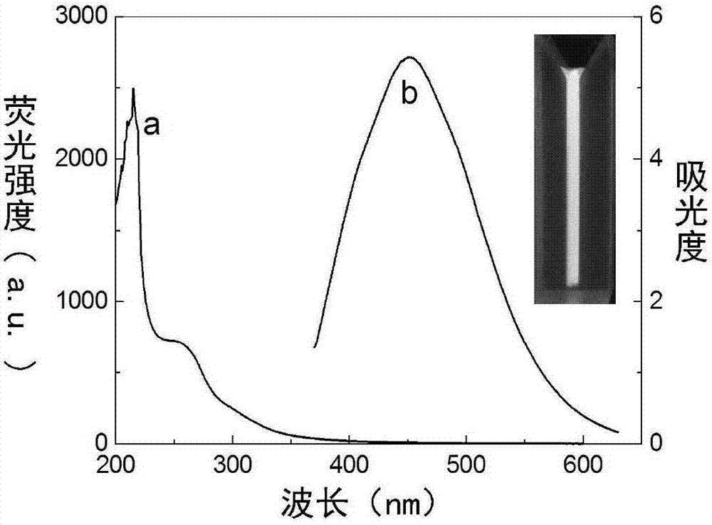 Uric acid electrochemical sensor based on active copper carbon point and application thereof
