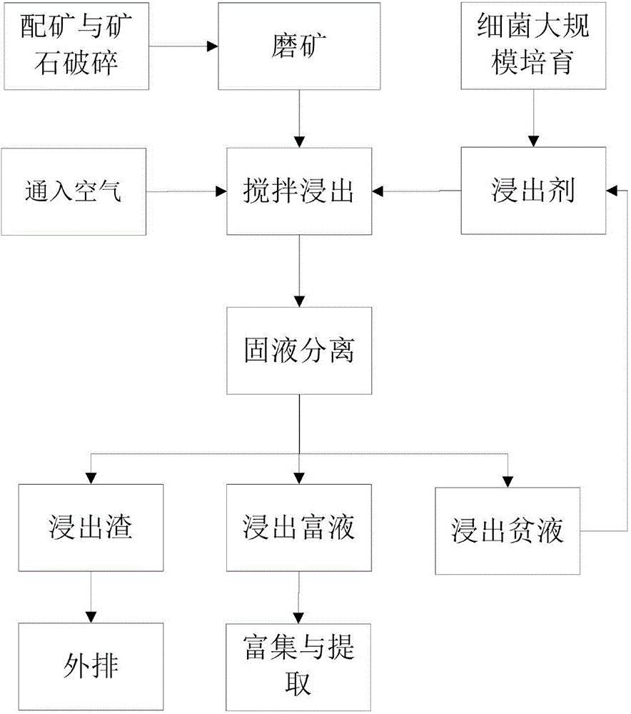 Process for leaching copper oxide ore by alkaline bacterium