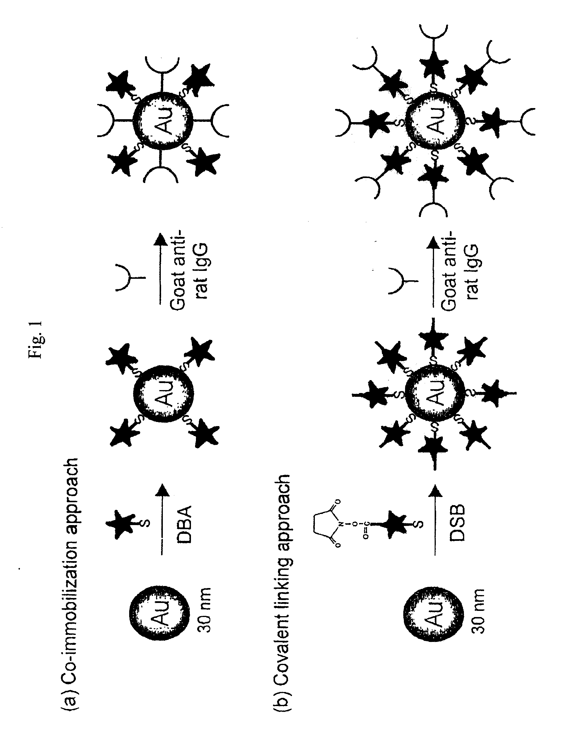 Raman-active reagents and the use thereof