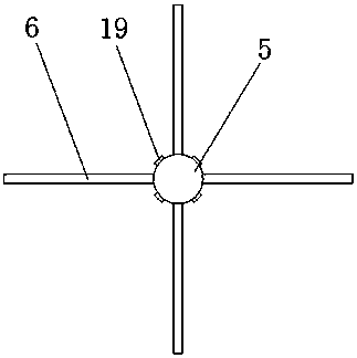 Walnut stir-frying apparatus