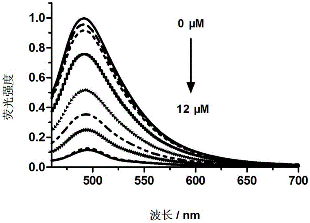 Method for detecting iodide ions by unmarked fluorescent probe based on thioflavin T dye design
