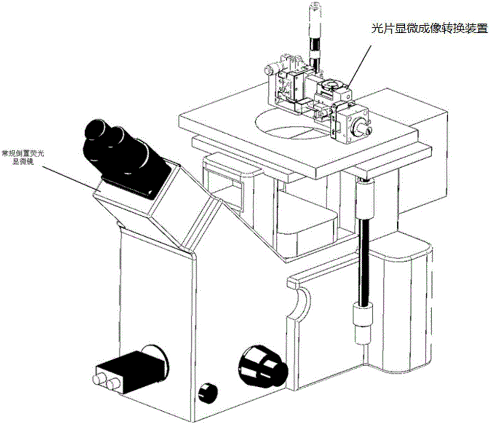 Light sheet microscopic imaging conversion apparatus