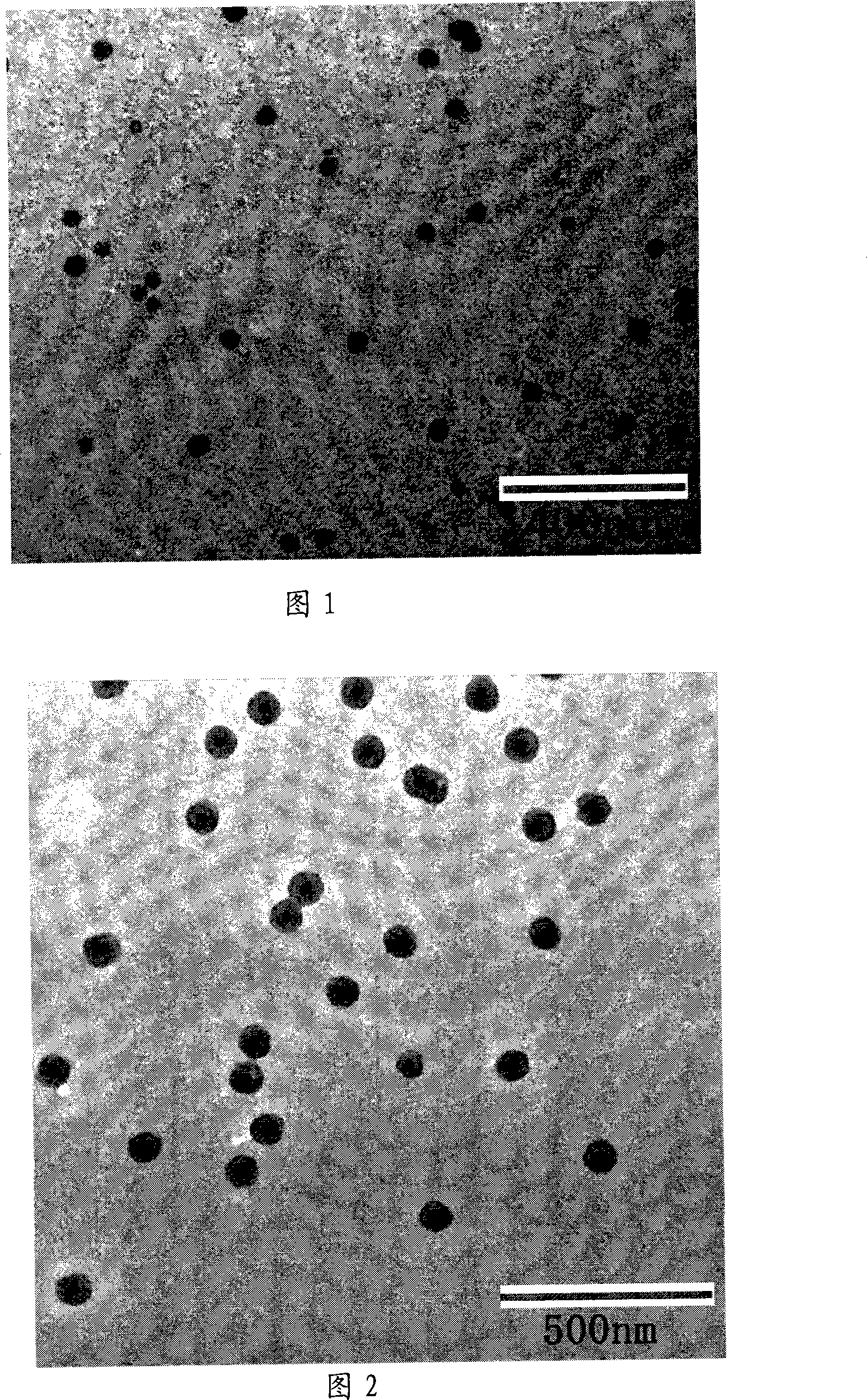Method for preparing silver/silicon dixoide nucleocapsid structure nano particles