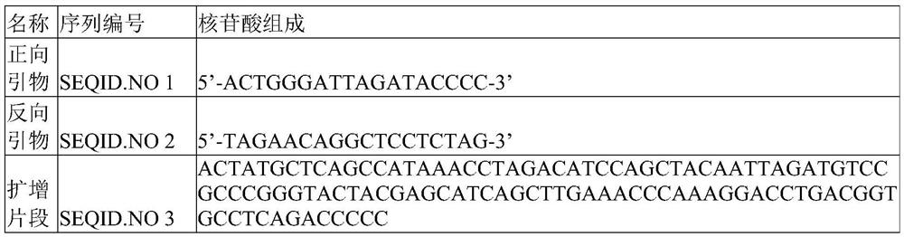 Method for detecting diversity of fish species by using environmental DNA technology