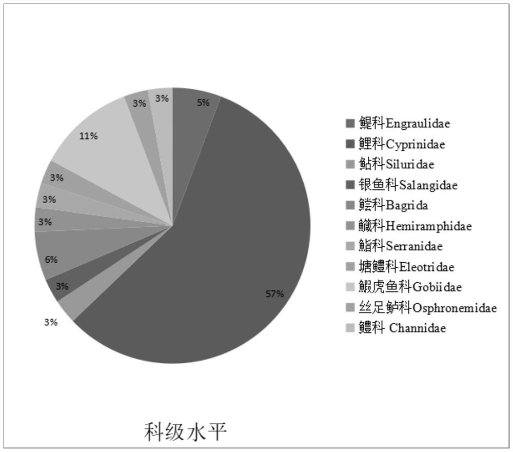 Method for detecting diversity of fish species by using environmental DNA technology