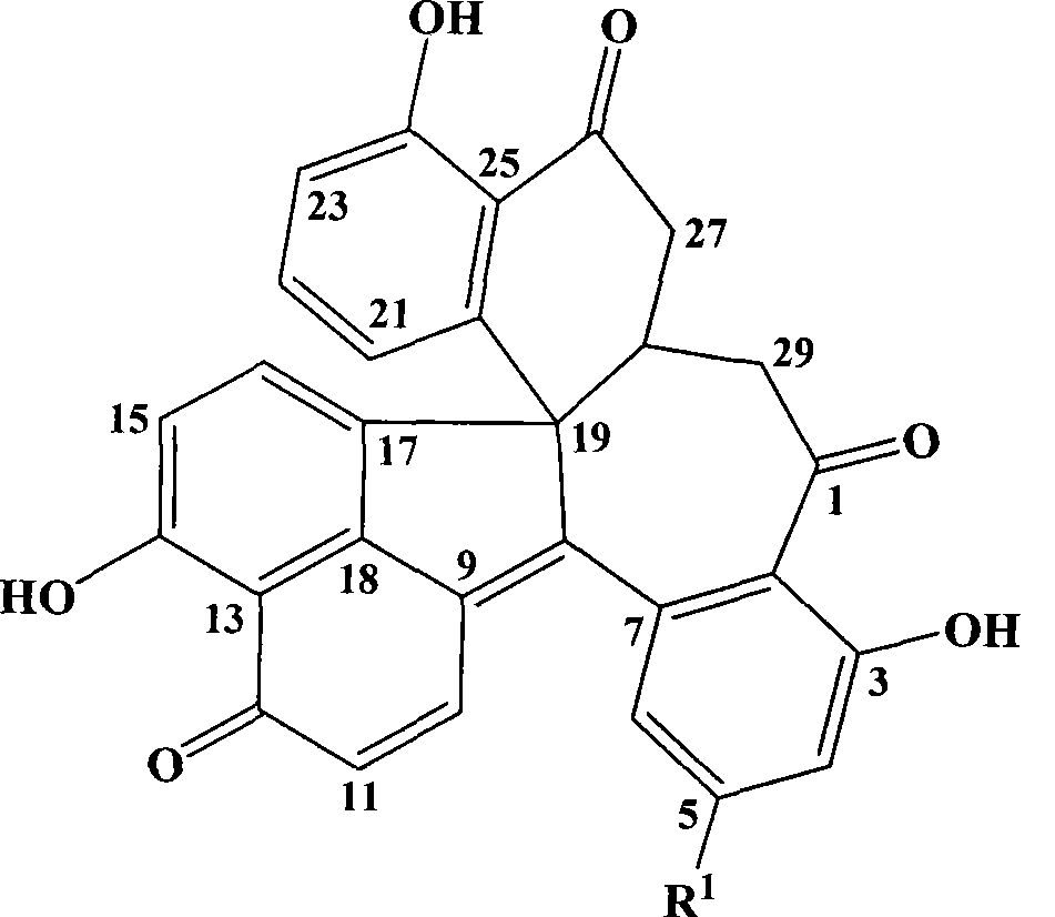 Carbon shell bacterium polyketone, preparation and uses thereof