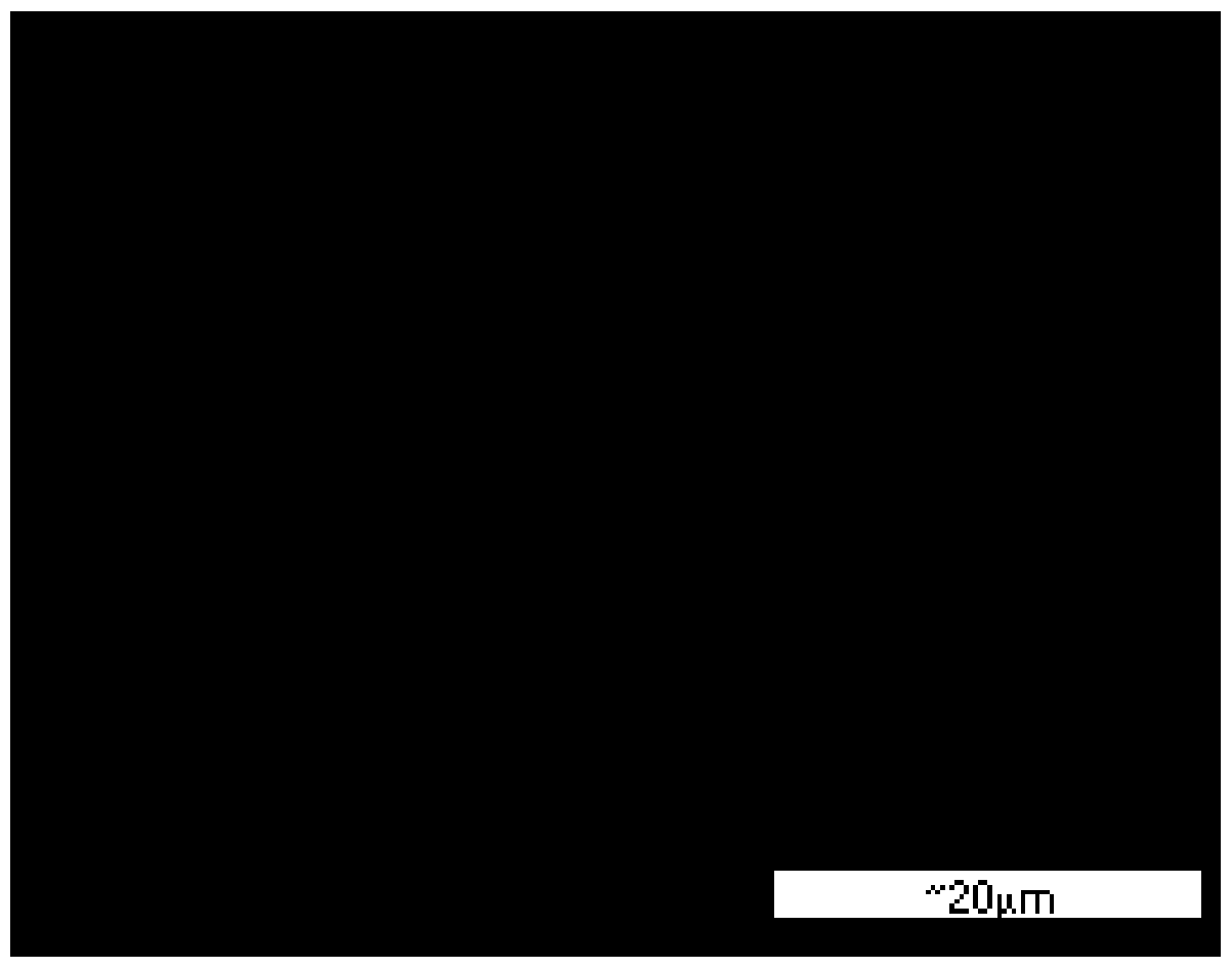 A kind of preparation method of electrolytic filler in iron carbon