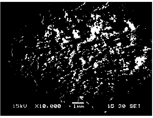 Bismuth tungstate nanocrystal and preparation method thereof