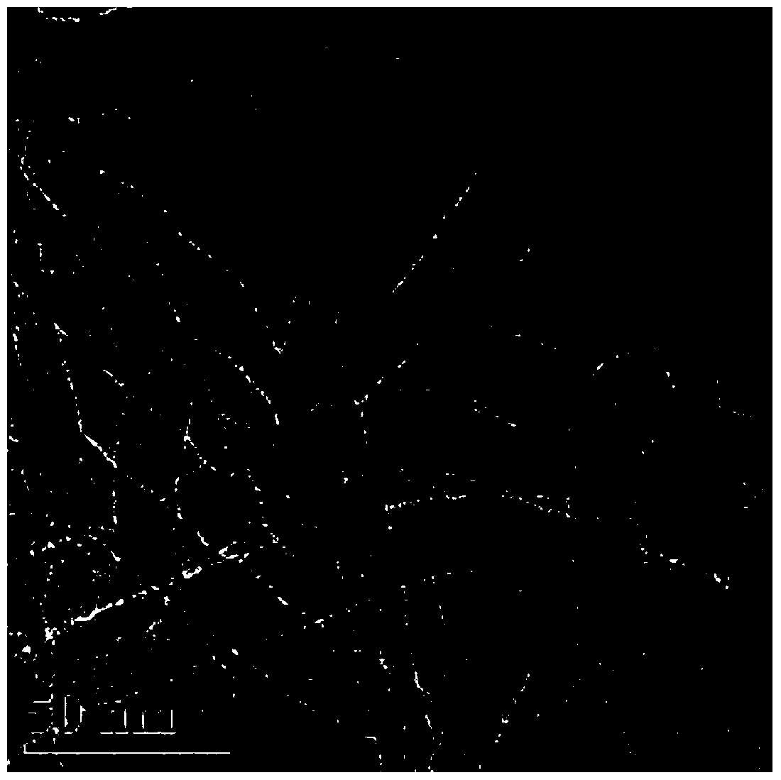 A kind of preparation method of reactive carbon nanotube flame retardant