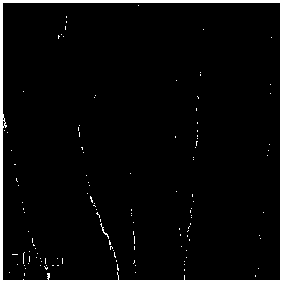 A kind of preparation method of reactive carbon nanotube flame retardant