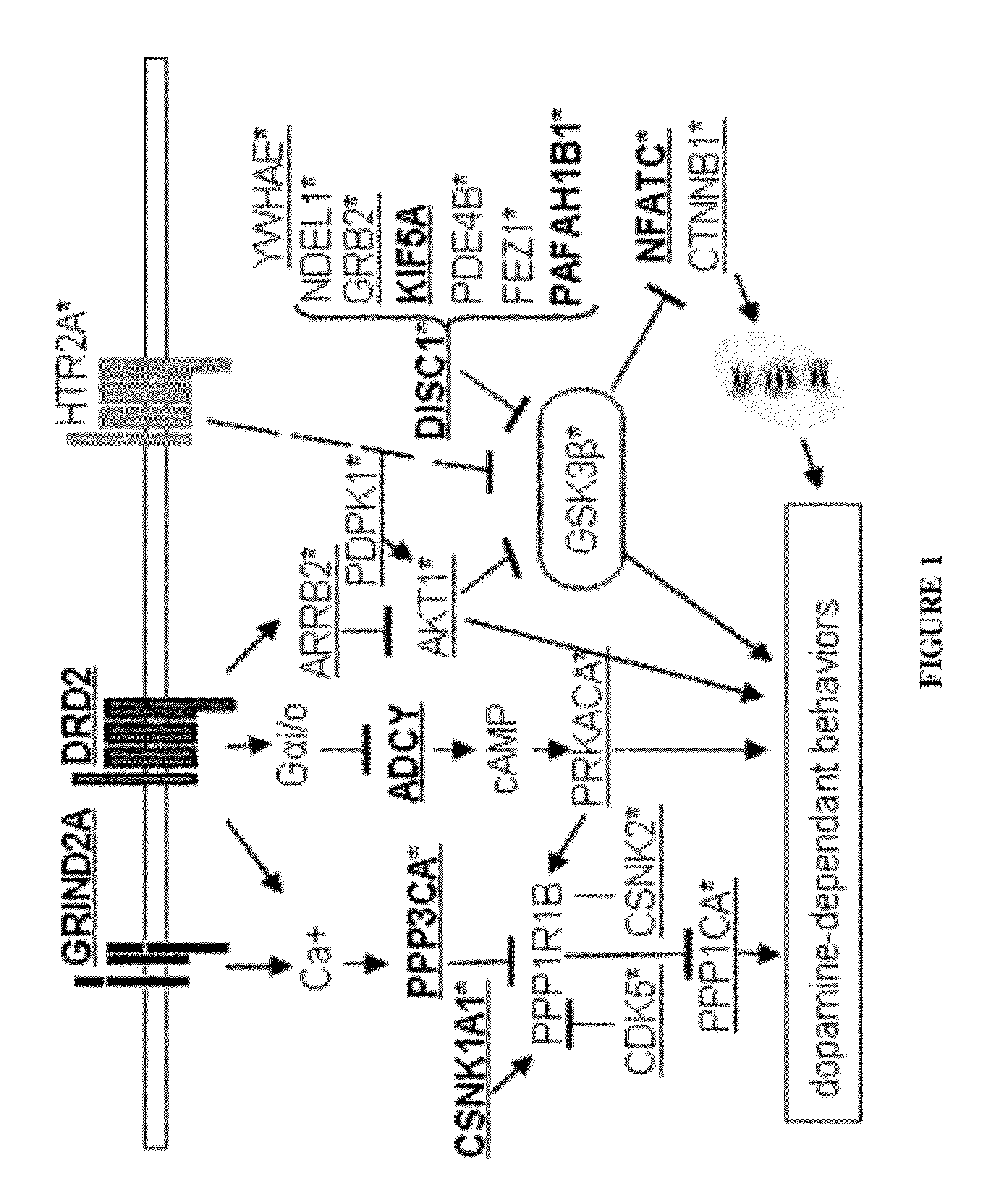 Schizophrenia treatment response biomarkers