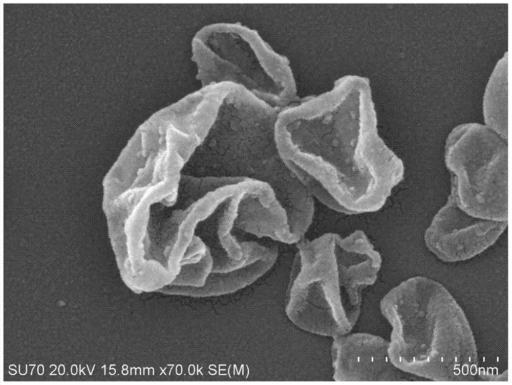 A kind of nanometer noble metal loaded polymer vesicle and preparation method thereof