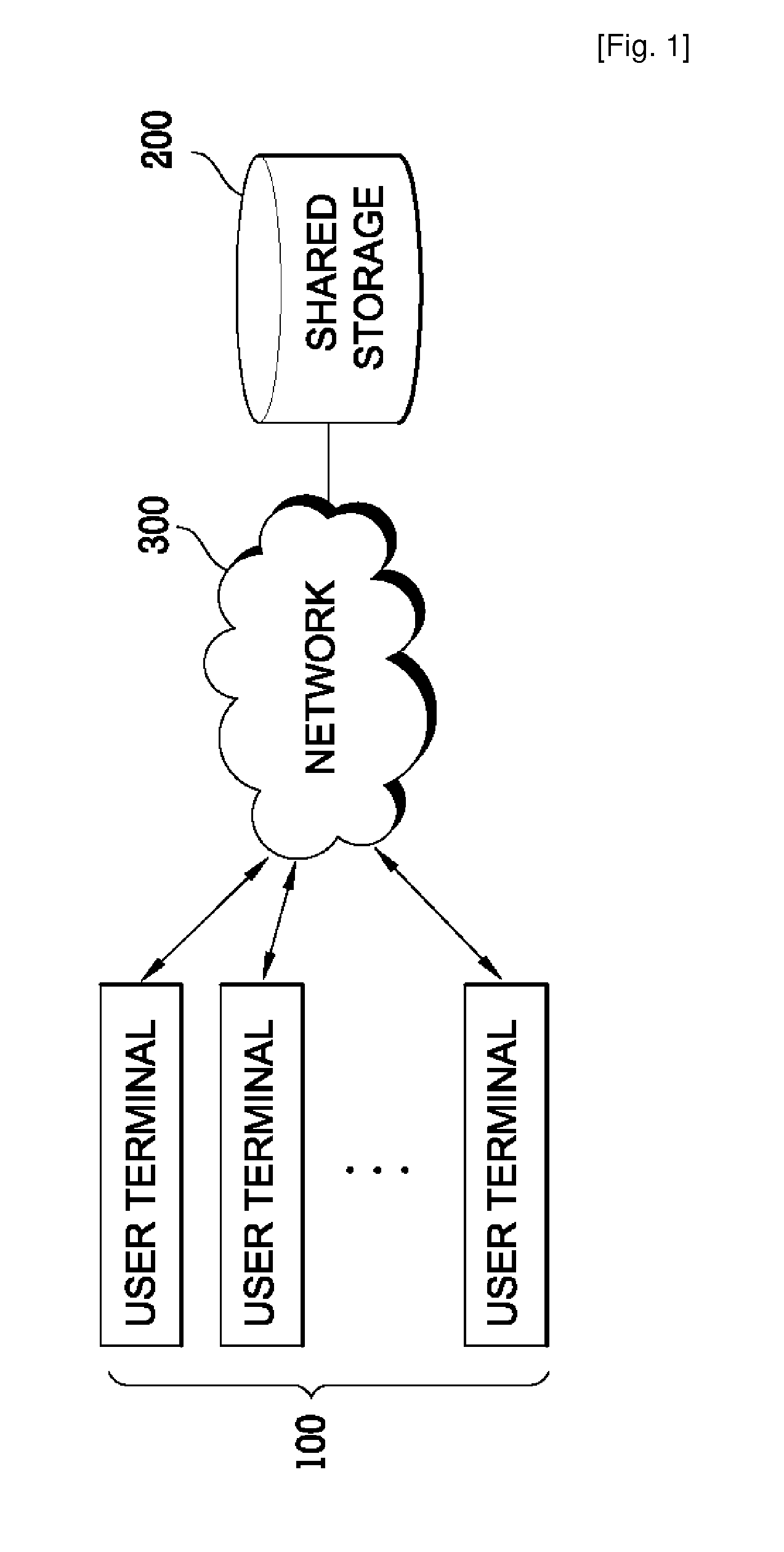 Digital Information Storage System, Digital Information Security System, Method for Storing Digital Information and Method for Service Digital Information