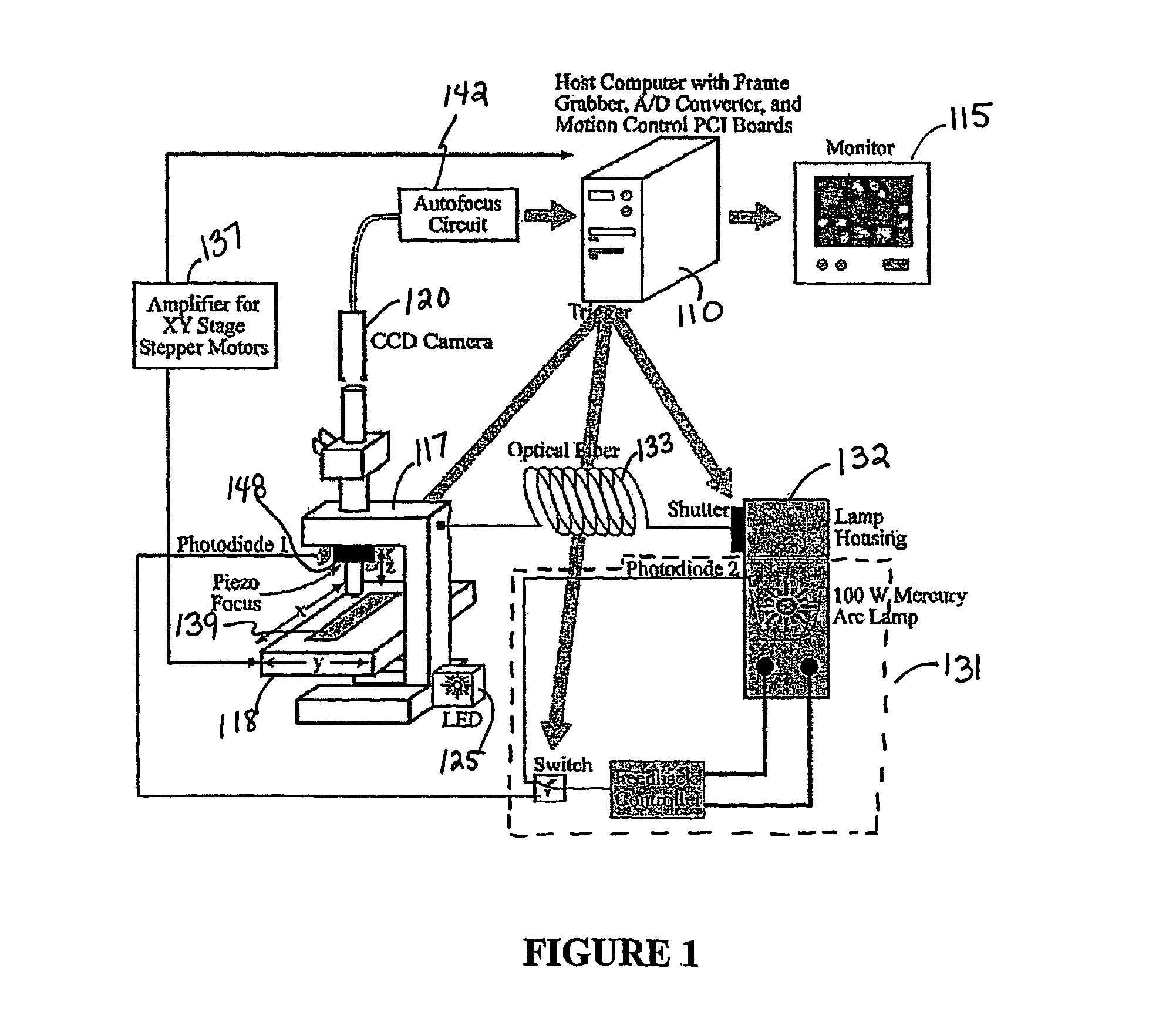 System and method for automatic color segmentation and minimum significant response for measurement of fractional localized intensity of cellular compartments