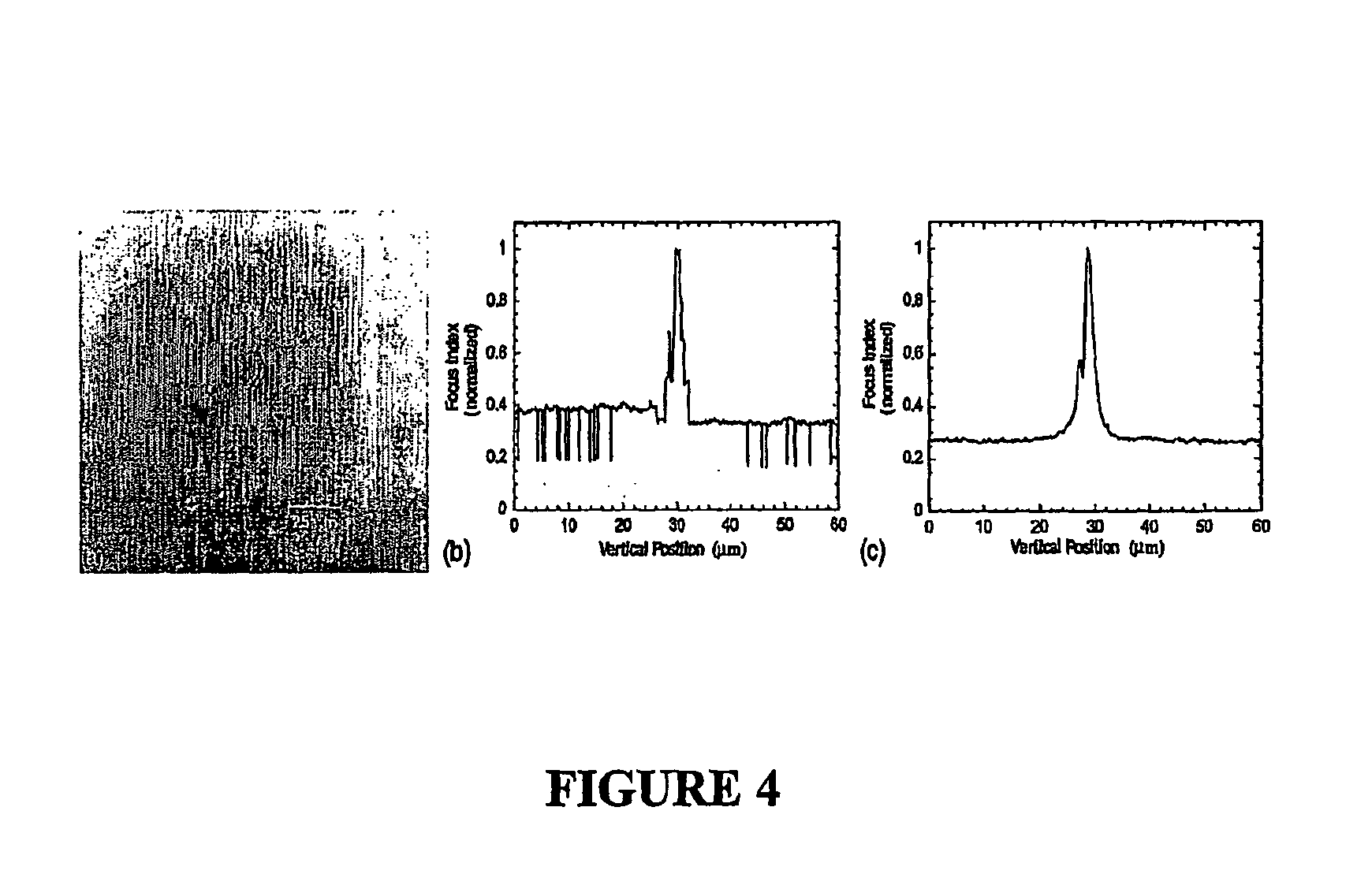 System and method for automatic color segmentation and minimum significant response for measurement of fractional localized intensity of cellular compartments