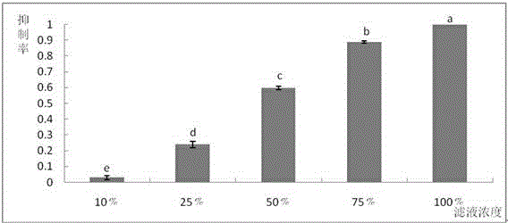 Pseudomonas cepacia strain QBA-3 having function of inhibiting botrytis cinerea and application thereof