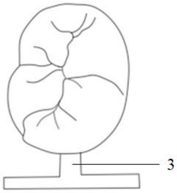 Formula of high-transmittance zirconia ceramic, preparation method of paste and manufacturing method of dental crown