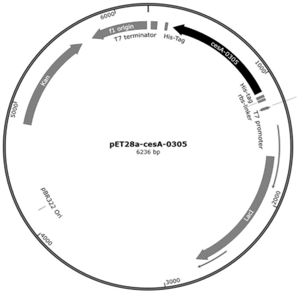 Carboxyesterase, coding gene, genetically engineered bacterium and application thereof