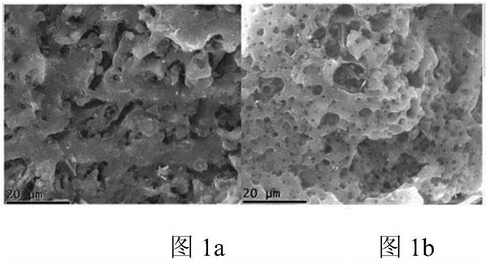 Preparation method and application of nanometer zero-valence bimetal-supported functional charcoal