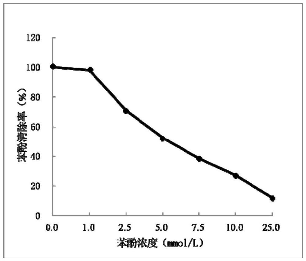 Method for removing phenolic substances in phenol aqueous solution by tyrosinase-metal organic framework compound