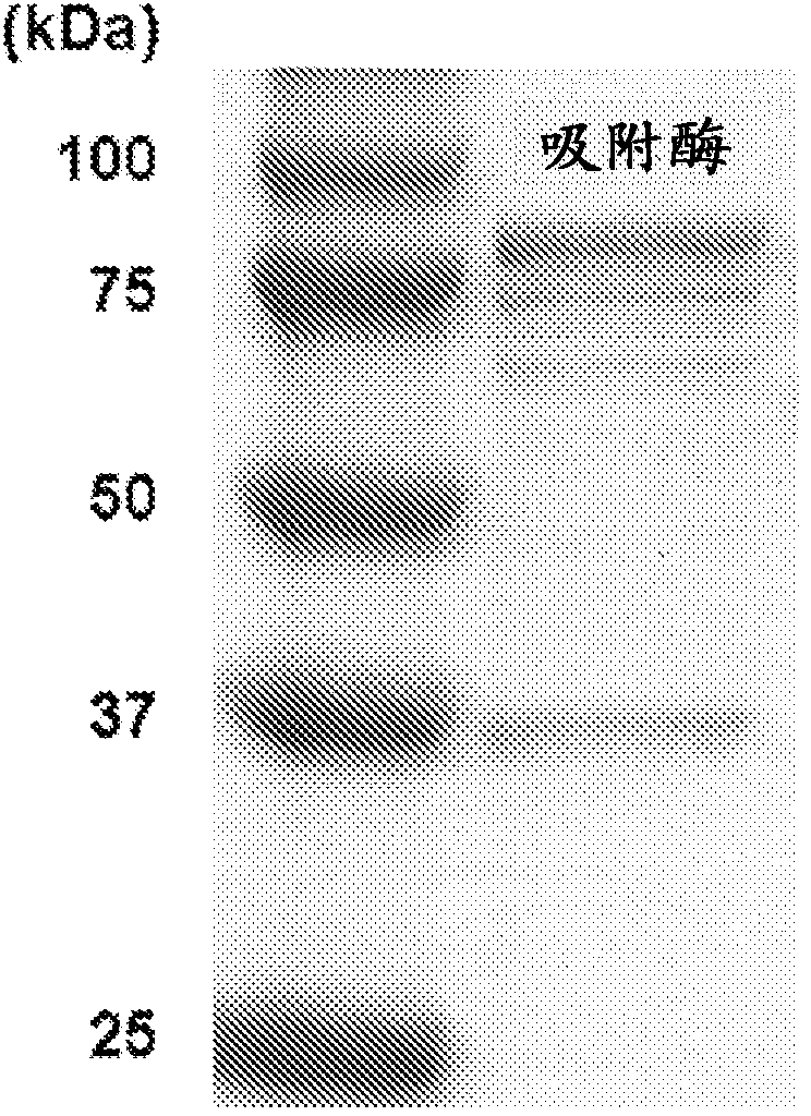Method of manufacturing filter aid